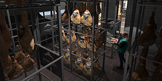 Fabrika Projekti